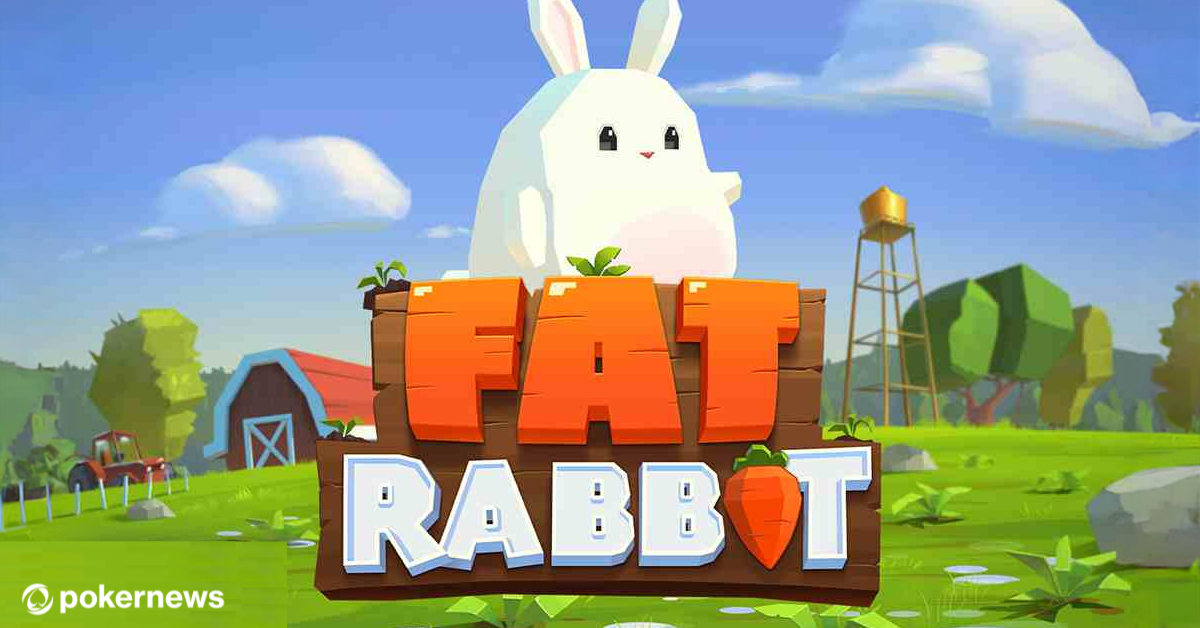 Fat Rabbit